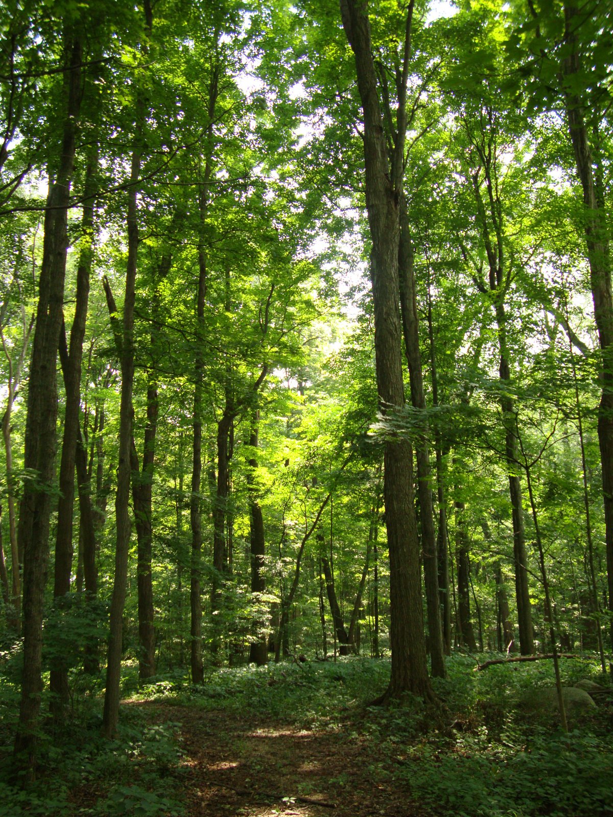 Property photo 25 - 160 Acres Offered in 6 Tracts